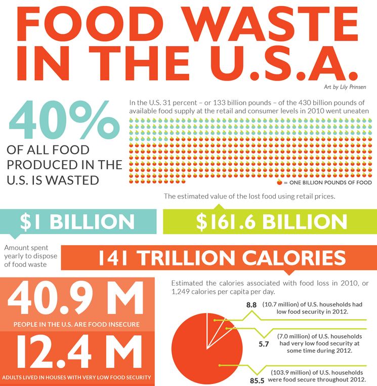 Infographic-CalFresh-Challenge-Food-Waste-USA-US-Stats