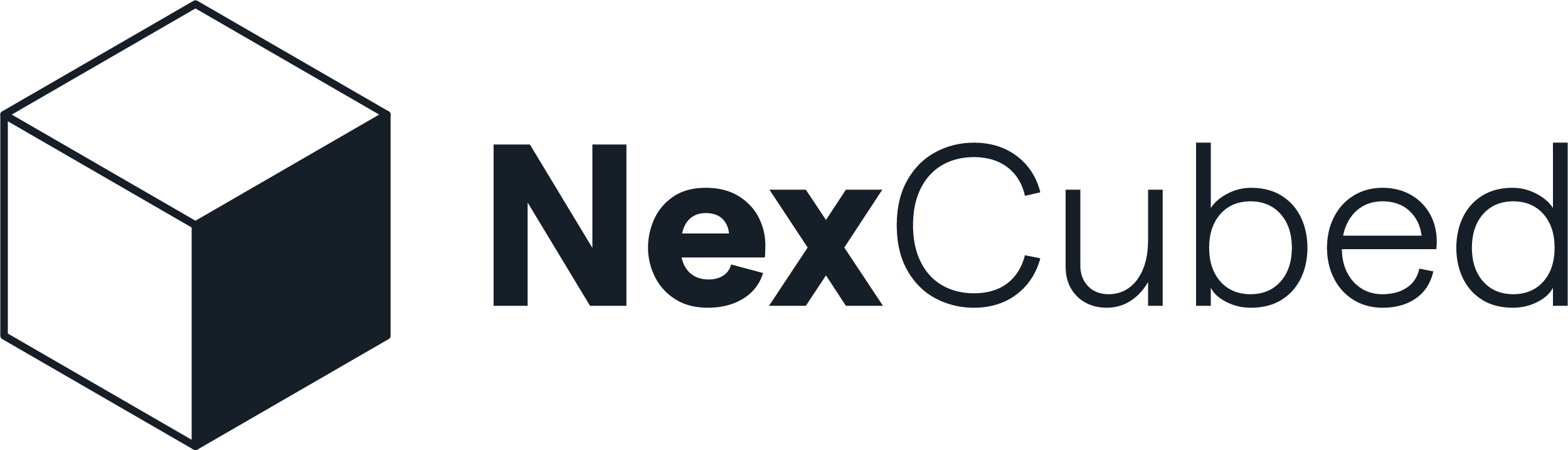 logo: NexCubed